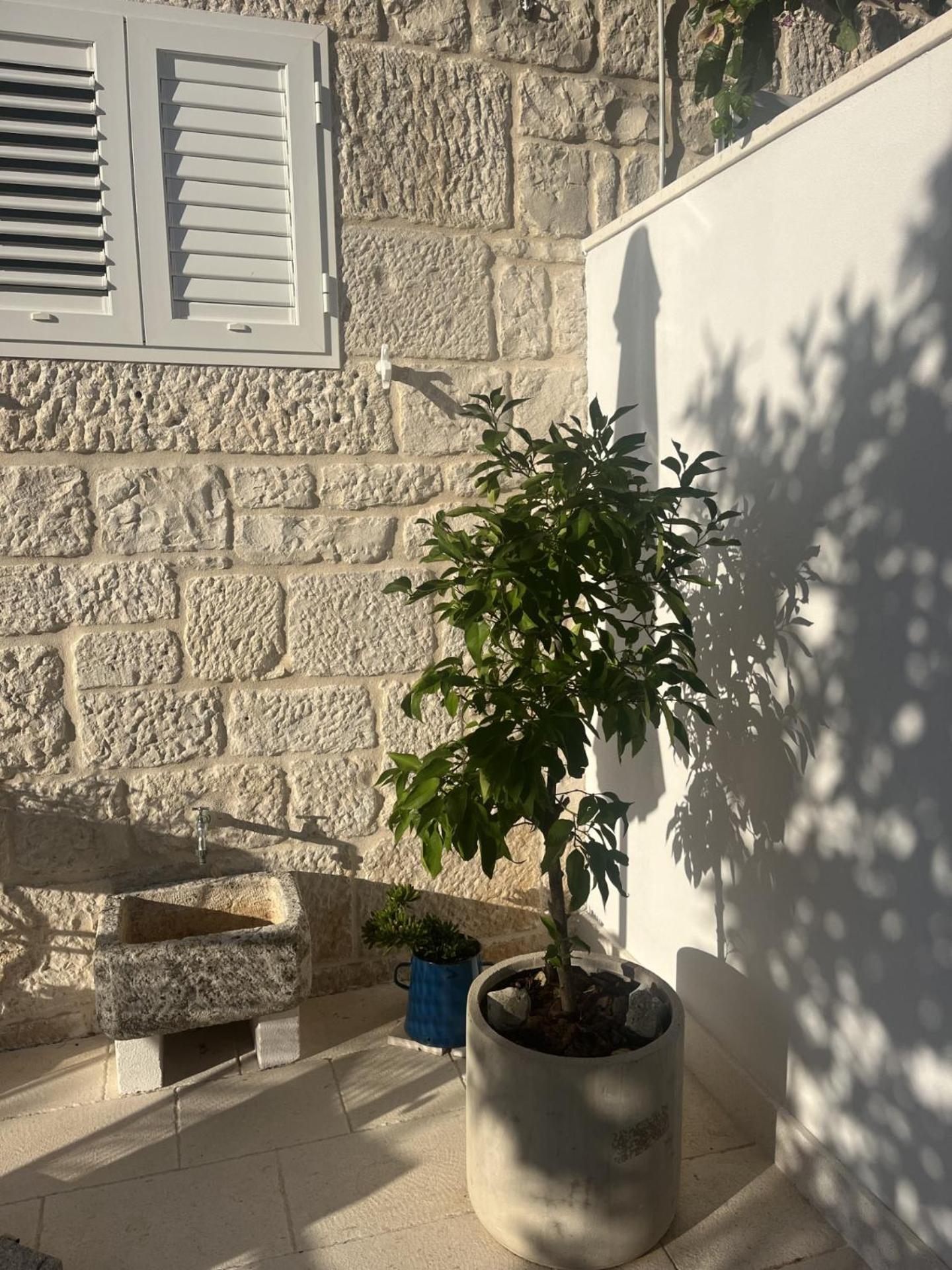 Apartment On The Sunny Side 코츌라 외부 사진